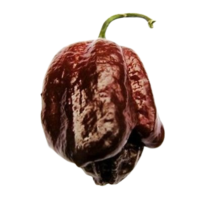 Op deze afbeelding zie je de 7 Pot Douglah