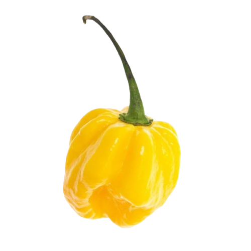 Op deze afbeelding zie je de Scotch Bonnet