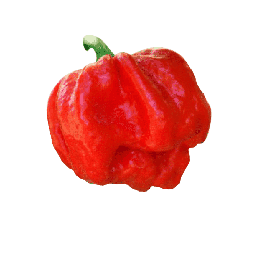 7 Pot Jonah Productafbeelding