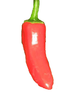 Apache Pepper zonder achtergrond