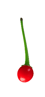 a close up of a cherry