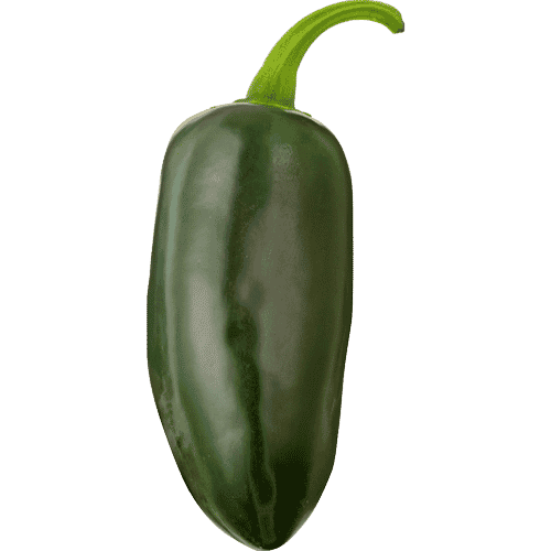 Een losse groene jalapeño peper zonder achtergrond